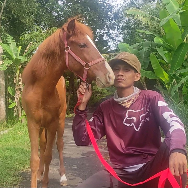 sobatngaretbanyumas