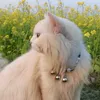 Leon & misty's family - @leon.mistys.famil - TikTok