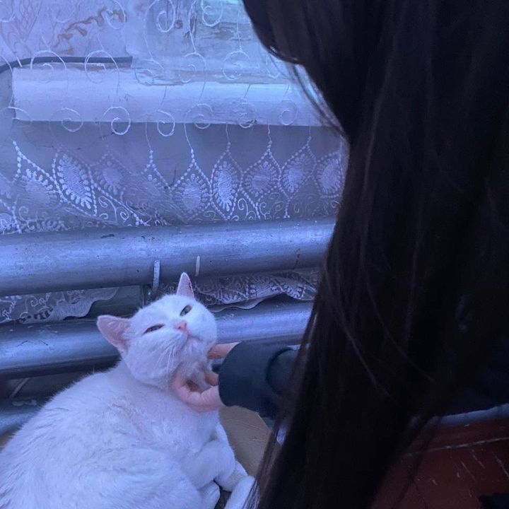 rrilnnn