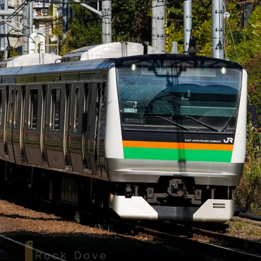 dangjinbus110807