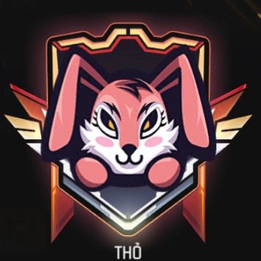 nova_academy123