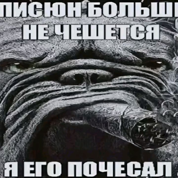 leee_nefor_kuda_presh