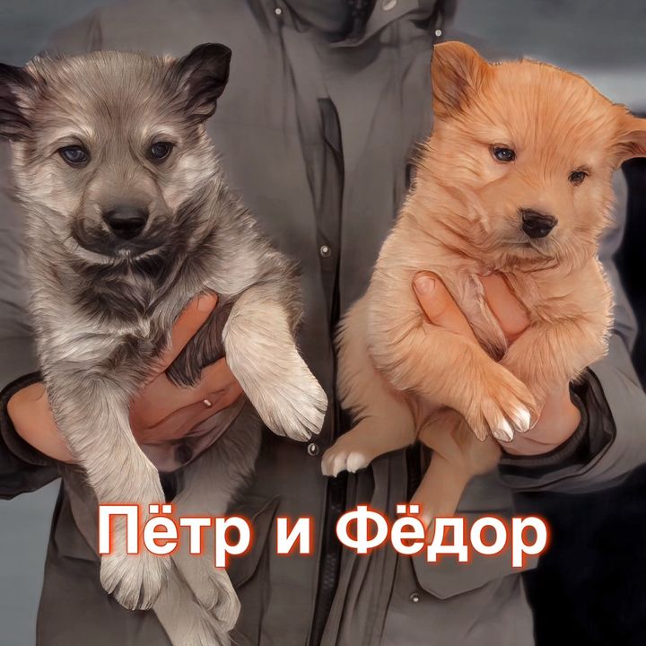 marochkinaelena