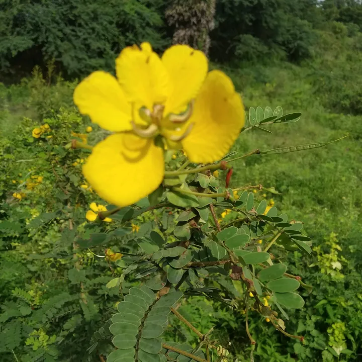 srigokul9042