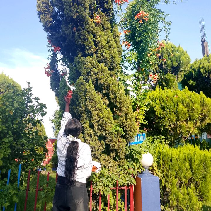 jugeshmallah1234