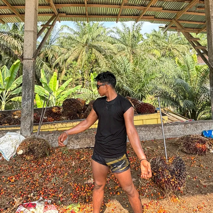 @rafikulisawit