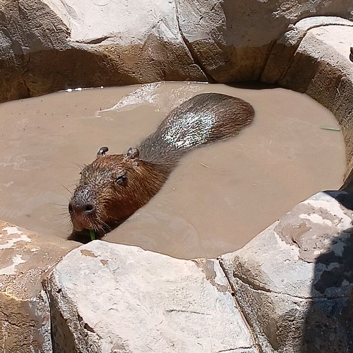 @hey.kkko_o