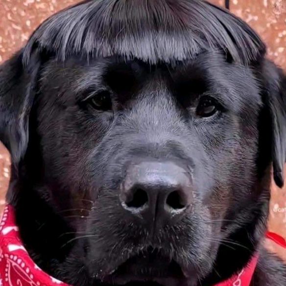 puyzana