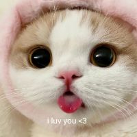 @batmannosleep
