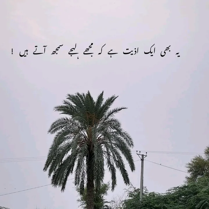 shayar_ki_dunya