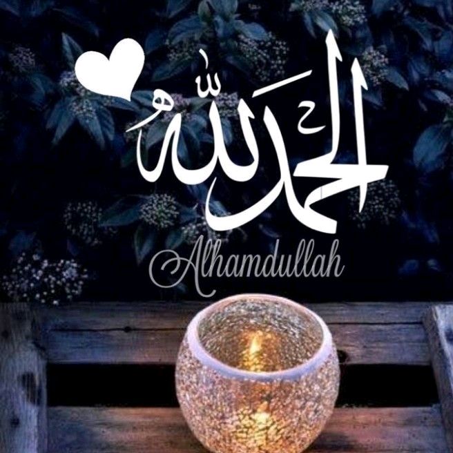 islamic_videos40514