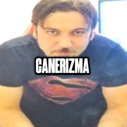 canerizma.3dits