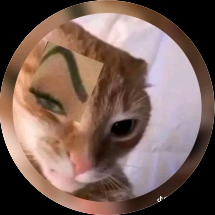 nashlarylol