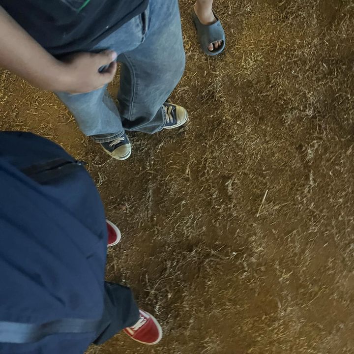 https.vm.tiktok.com49 - original sound