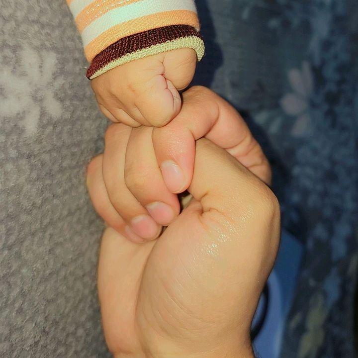 mahnoor8238