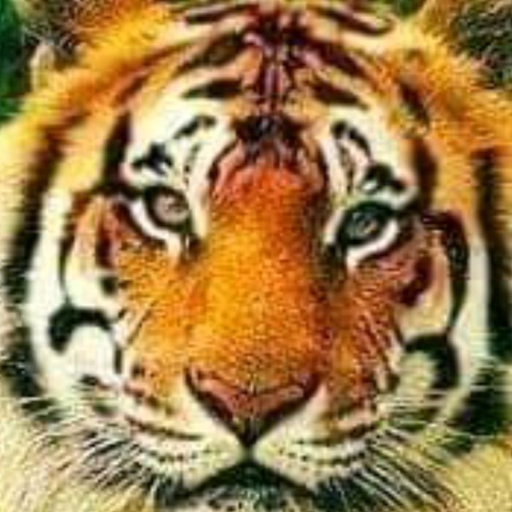 raja_sakti_