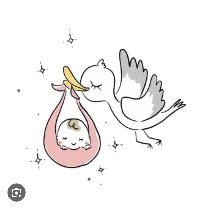 little.lily529
