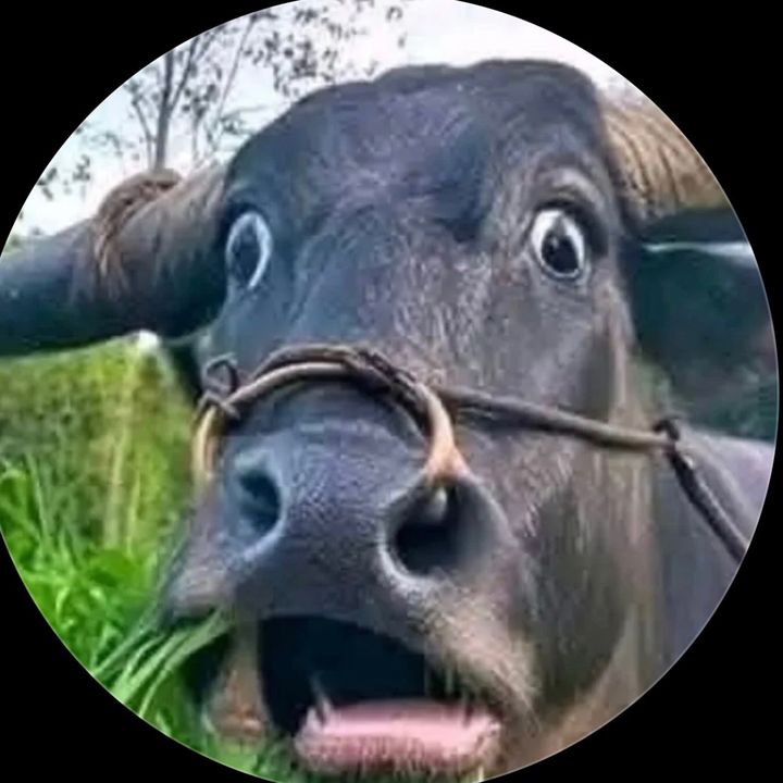 vanjaaaaa97