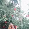 Lorena Barbero - @lorena.barbero - TikTok