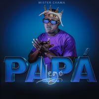 Mister Chama - Llegó Papá | TikTok